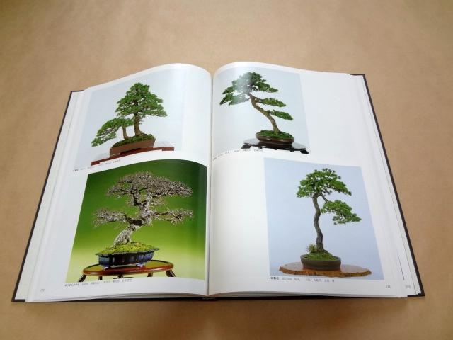[USED] Collection of works, catalogue "The 12th Nippon Bonsai Taikan Exhibition