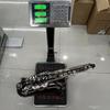 SLADE Bb Tenor Saxophone Kit B-flat Muti-color Brass Pipe Saxophone Pro Woodwind Instrument With Glove Reed Saxphone Parts