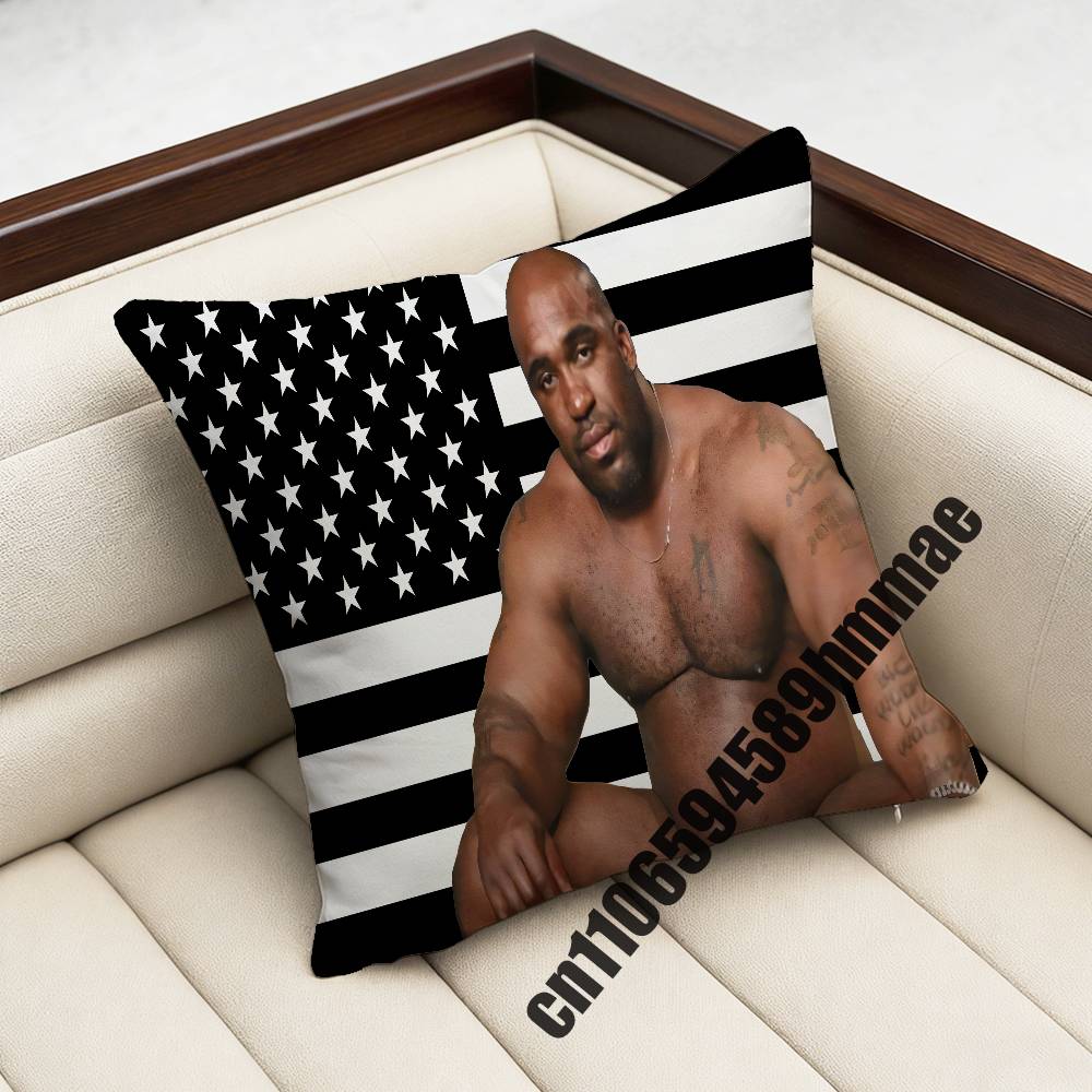 

Barry Wood America USA Throw Pillow Case Sham For 45x45cm 40x40cm Square Car Pillowcase Pad Cushion Cover 30x30cm