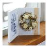 Tokyodo Dried Flower Hahakogusa Approx. L45.1cm 1 Bunch 30g DN000027-zzz