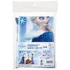 Skater Children's Leisure Sheet for Outings S Size 60×90cm Disney Frozen Anna and Elsa VS1-A