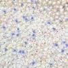 1/2/4CM Love and Deepspace 99-200Pcs Acrylic Sheet Sylus Rafayel Zayne Xavier Caleb Coin Wish Scroll Anime Distribution Fan Gift