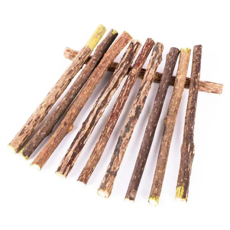 Silvervine Sticks for Cats Natural Cat Chew Sticks Teeth Molar Chewing Toys Cat Teething Toy Pet Supplies