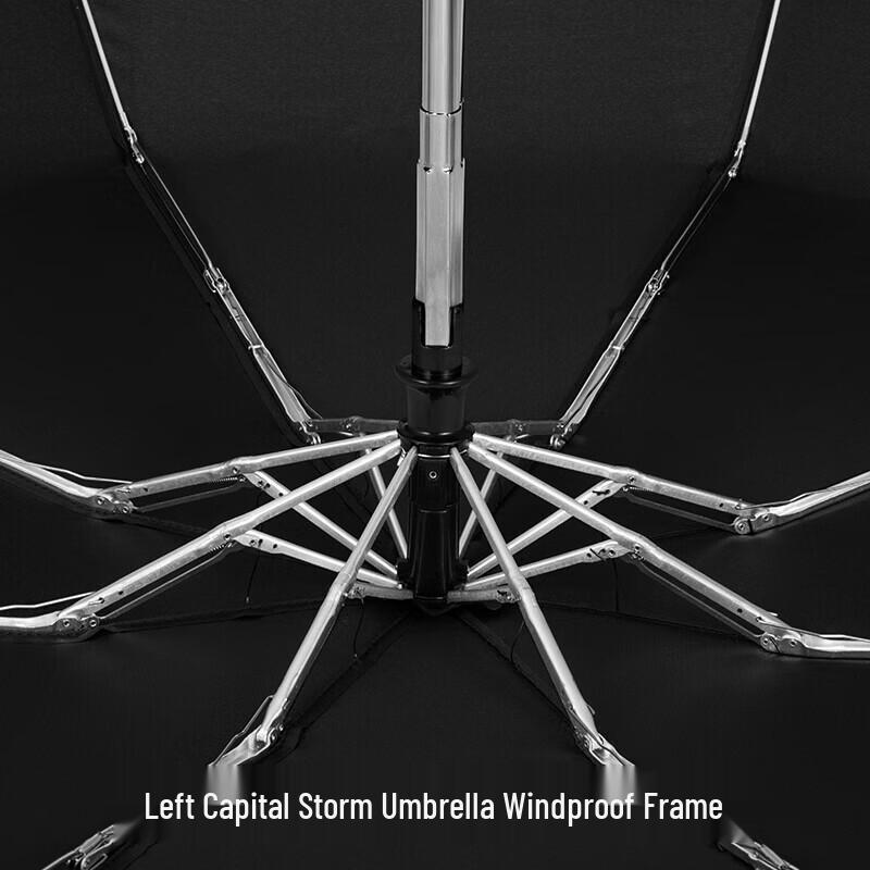 ZUODU ZD012 Fully Automatic Compact Umbrella