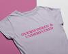 Overworked & Underfucked Shirt - Unisex and Ladies Size. Funny Y2k Meme T-shirt. Multiple Color Choice