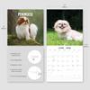 Red Robin 2026 Pekingese Monthly Wall Calendar | 12" x 24" Open | Premium Thick & Sturdy Paper | Hangable 12 Month Calendar | Lined Notes & To Do