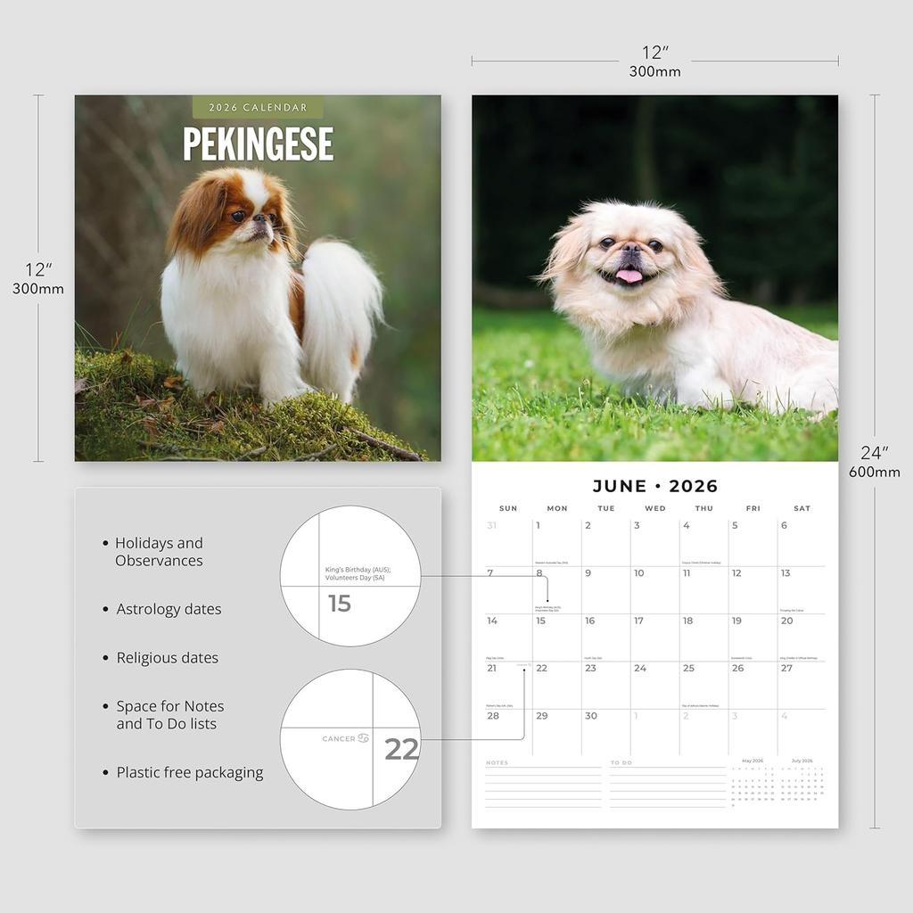 Red Robin 2026 Pekingese Monthly Wall Calendar | 12" x 24" Open | Premium Thick & Sturdy Paper | Hangable 12 Month Calendar | Lined Notes & To Do