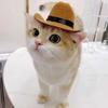 Western-Themed Pet Cowboy Hat for Both Cats And Dogs Pet Supplies