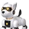 Interactive Robotic Canine Companion for Kids - Voice Enabled