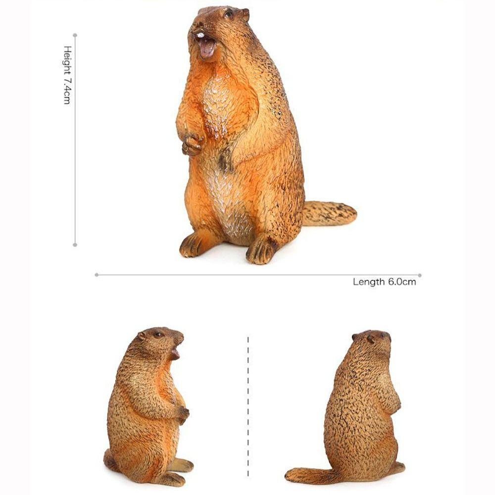 PVC Wild Animal Figurine Marmot Plastic Groundhog Ornament Realistic Animal Ornament  Office