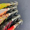 Used Easy Q Cast Rattle Egi Set EZ-Q Cast Patapata Egi Squid Jig Calamari No. 3 Patapata Egi Squid Jig Calamari