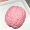 Giocattolo Antistress Squishy Jumbo Cervello Similato Giocattolo Fidget Modello Grande Cervello Palla Antistress Giocattolo Scherzo da Spremere Giocattolo per Alleviare Stress e Ansia Regali di Natale