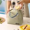 Sac de prânz portabil pentru copii Cutie de prânz izolată Geantă de prânz reutilizabilă pentru picnic