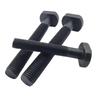 Yicheng T-Head Square Bolt