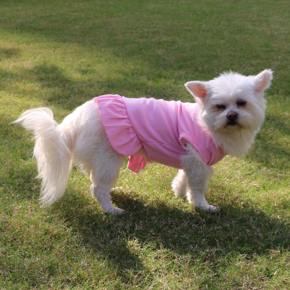 Breathable Pet Princess Dresses Soft Dog Vest Pet Supplies Cat Skirt  For Puppy Small Animal