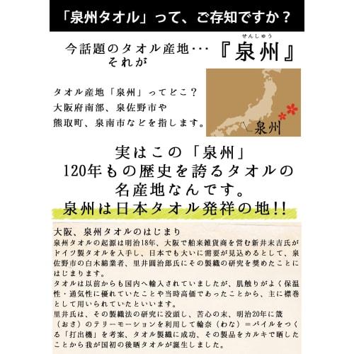 Senshu Towel Bath Towel, Arc Color, Made In Japan, Yellow, Approx. 60 X 120 Cm, BG210203