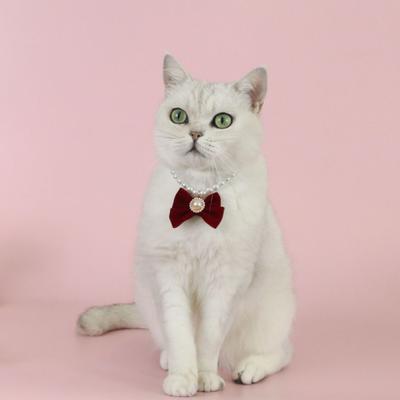 Katzenhalsband im Prinzessinnenstil Faux-Perlen Samtschleife Dekor Verstellbares Design Haustier Kätzchen Halsband Haustierzubehör