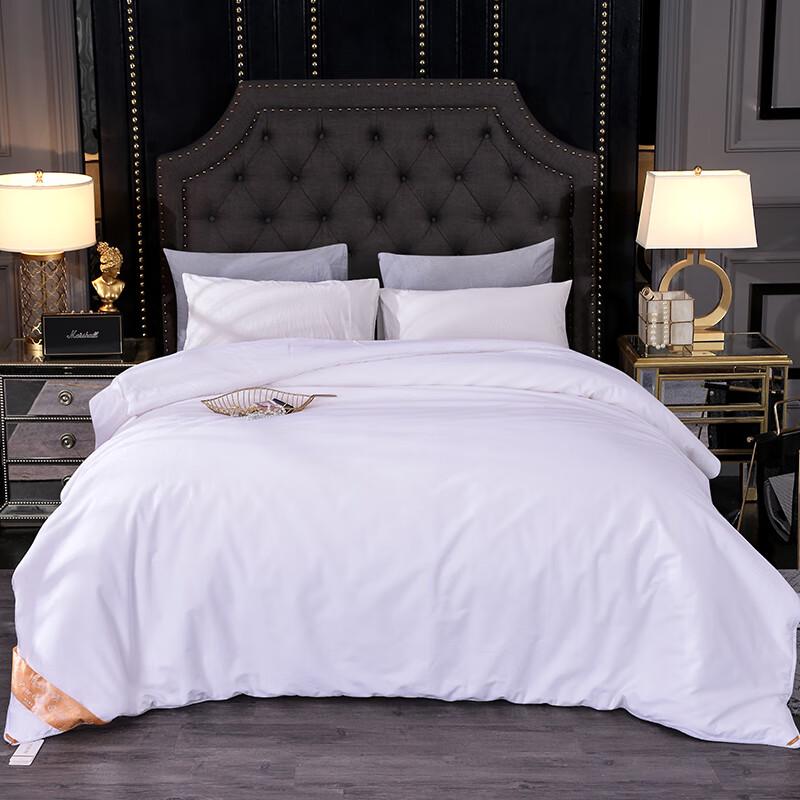 

HEJIAN Comfort Series 100% Tussah Silk Duvet