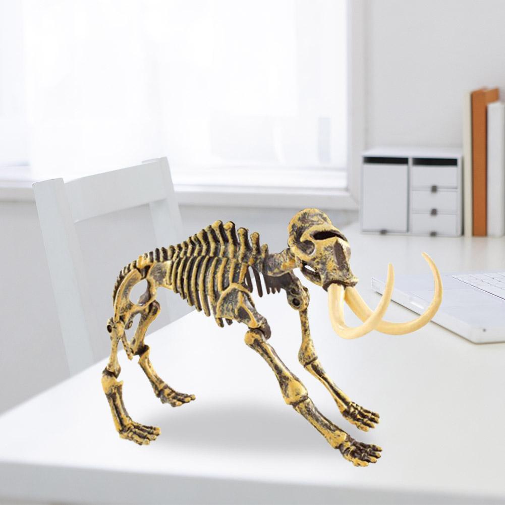 Dinosaur Skeleton Bones Model Toy Children Learning Educational Toys#2