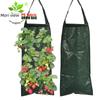 Senjing PE Hanging Strawberry Planter Growth Bag