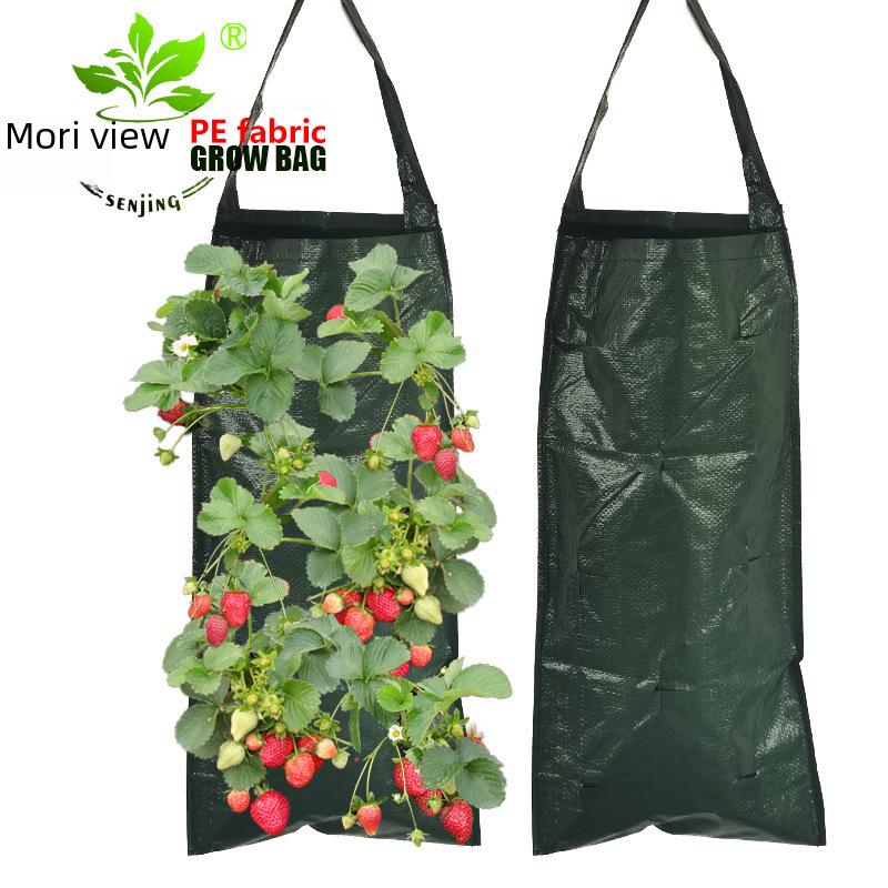 Senjing PE Hanging Strawberry Planter Growth Bag