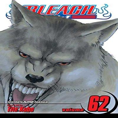 Bleach Vol. 62 by Tite Kubo Paperback Book 9781421576817