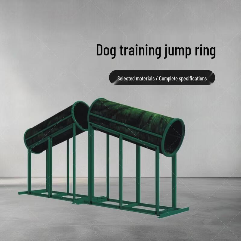 Fengdi Dog Agility & Obstacle Training Equipment