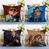 Electronic Music Pop Singer E-Ed Sheeran-MT Pillow Case Printing Pillowcase Living Room Sofa Cushion Cover Bedroom Room Decor