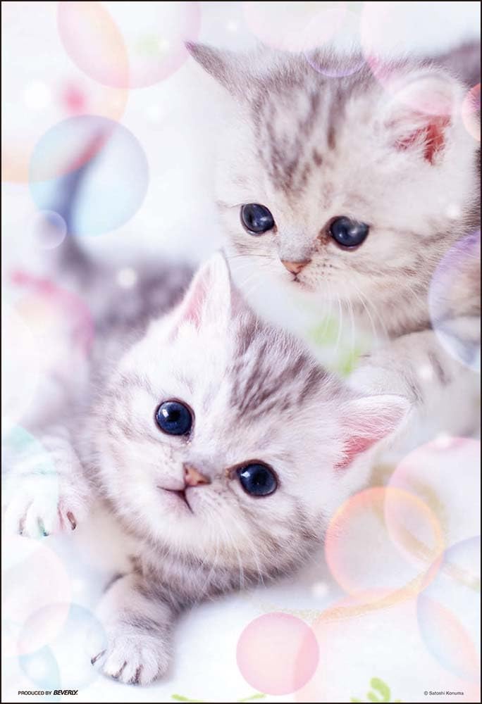 

в пазле Beverly 300 Piece Fluffy Nyan x [Сделано в Японии] (26 38см) 300-035