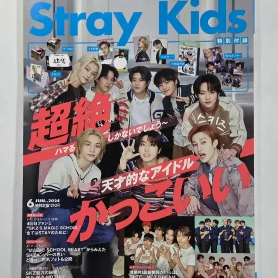 STRAY KIDS SKZ (Skids) Japanese magazines (3 types)