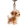 1/6Pcs Clear Pet Hair Memorial Keychain Dog Furs Collector Keepsakes Plastic Storage Box For Dog Cats Lover Gift