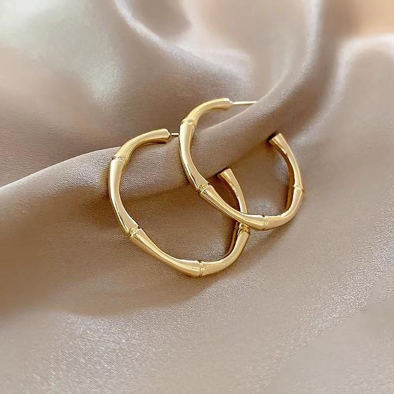 Fashion light luxury simple earrings women's silver light luxury high-end small earrings niche design trendy cool earrings