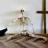 Halloween Realista Ossos do Corpo Tamanho Real Esqueleto Humano com Juntas Articuláveis Ornamento de Crânio de Simulação Adereços de Terror para Casa Assombrada