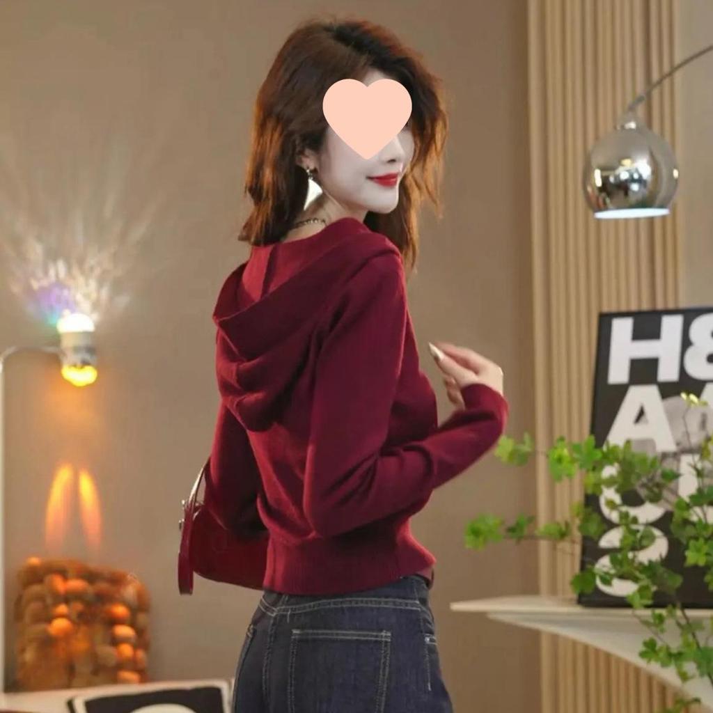 Koreanischer Strickpullover mit Kapuze für Damen - Herbstmode Nischendesign Vielseitige Strickware