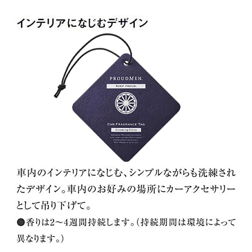 Bulk Proud Men Car Fragrance Set of 3 Citrus Hanging for Cars Purchase Tags, (Grooming Scent), Style,