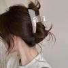 Korean acrylic large high ponytail grab clip 2025 new shark clip back head hairpin headgear
