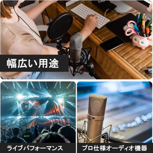 Phantom Power Supply for Condenser Microphones, Includes US Power Adapter and Charging Cable, 48V Input and Output, Mini Black, Music Recording Equipm