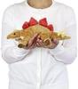 Carolata Stegosaurus Plush Toy (Reclining SeriesSoft Touch) Realistic Dinosaur Toy Doll Gift Present Birthday (Twice Tested)  Christmas Present