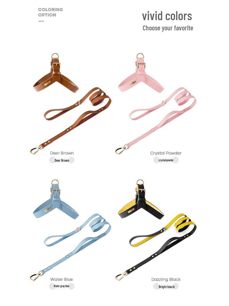 Dego Fashion Wasserdichtes Hundegeschirr & Leinen-Set für Kleine/Mittelgroße Hunde