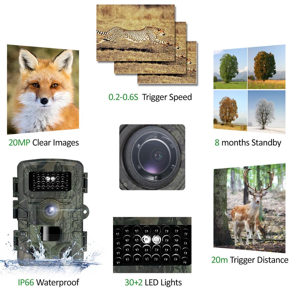 Wildkamera Wasserdicht 20MP 1080P Jagdkamera mit 3 Infrarotsensoren Nachtsicht Bewegungsaktiviert Wildbeobachtung