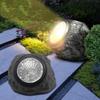 Solar LED Spotlight Outdoor Garden Lawn Decoration with Light Control