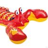 Inflatable Float Tube, Swimming Beach Ring Lounge for