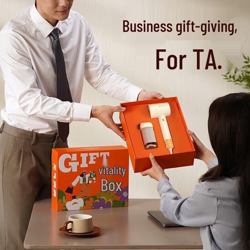 Hozheng High-Speed Hair Dryer & Oral Irrigator Gift Set