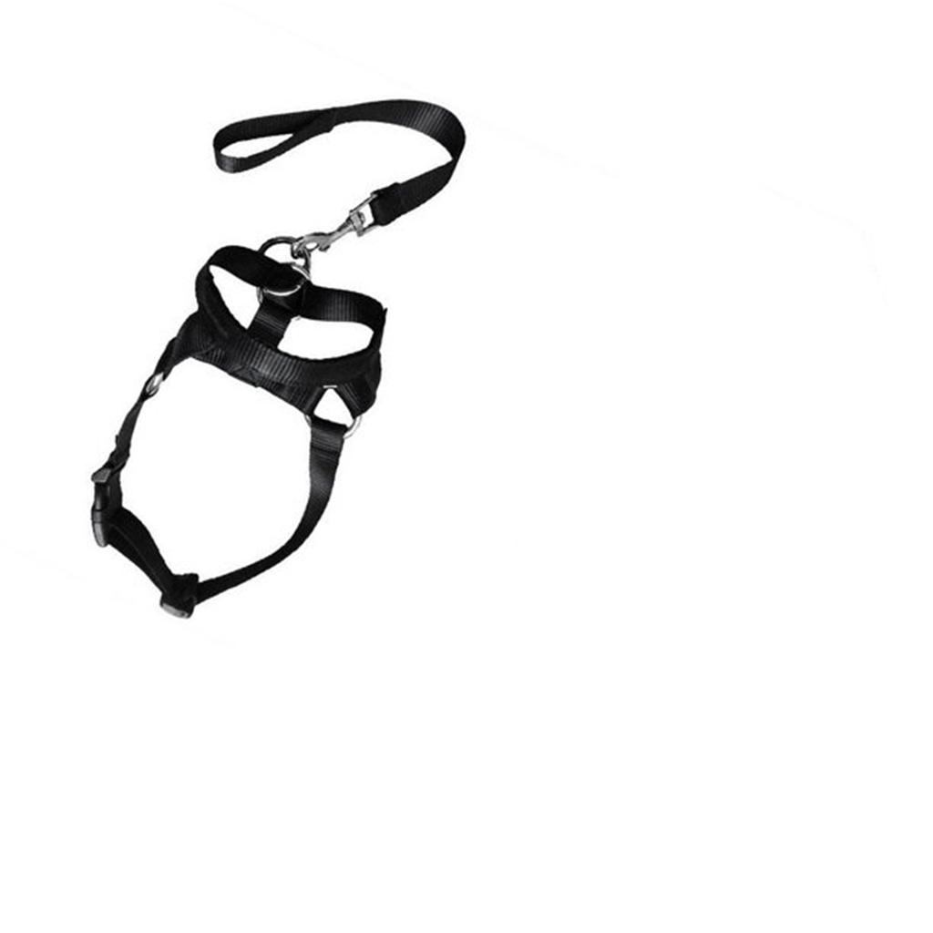 Dog Head Collar, No Pull Head With Soft Padding, Durable Headcollar For Medium Dogs