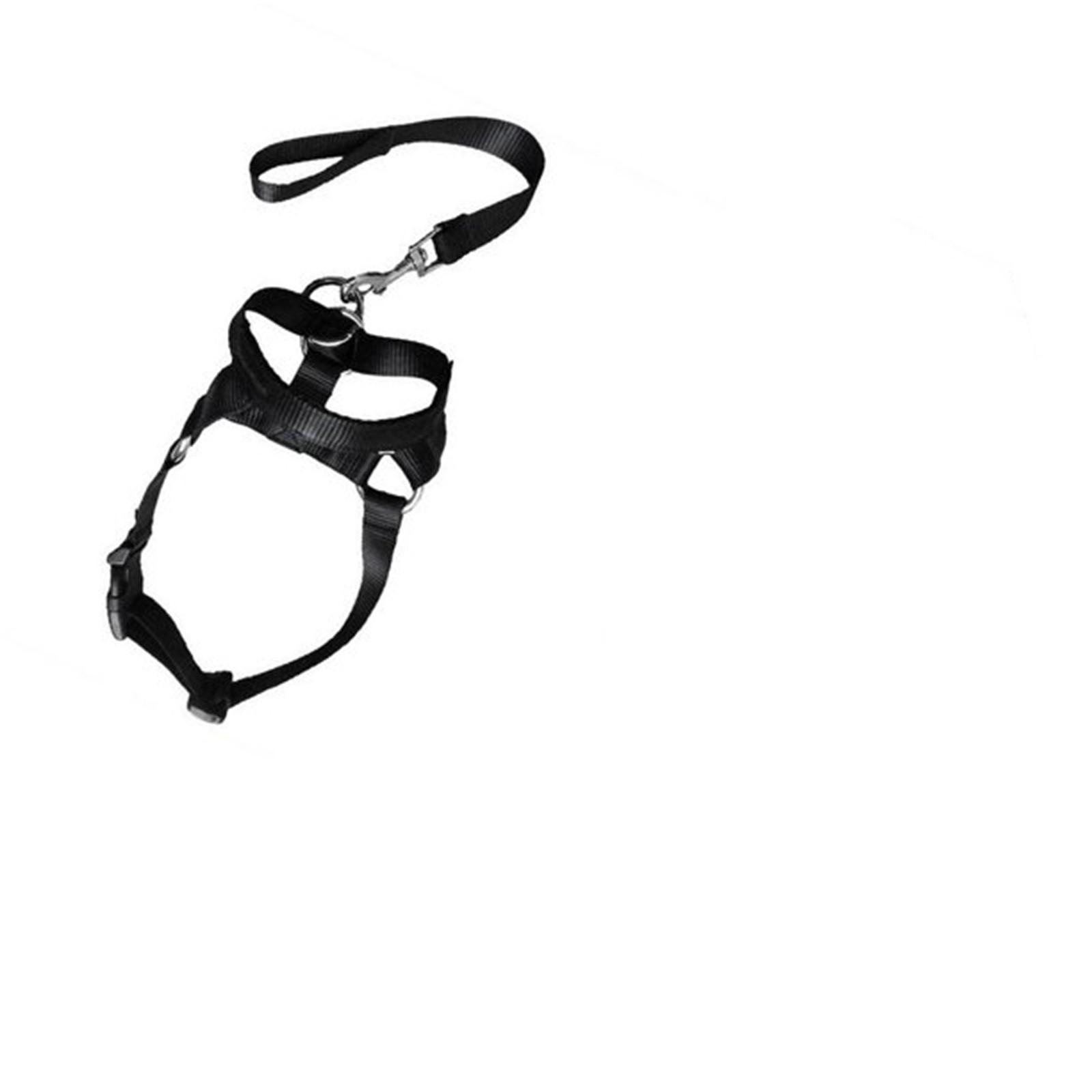 

Ошейник для собак, без тяги, с мягкой подкладкой, ошейник для собак средних размеров One Size