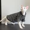 Fashion Elastic Sphynx Cat Clothes Soft Warm Cat Striped Jumpsuit Cat Two Legged Clothes Hairless Cat Base Shirt for Cats Kitten