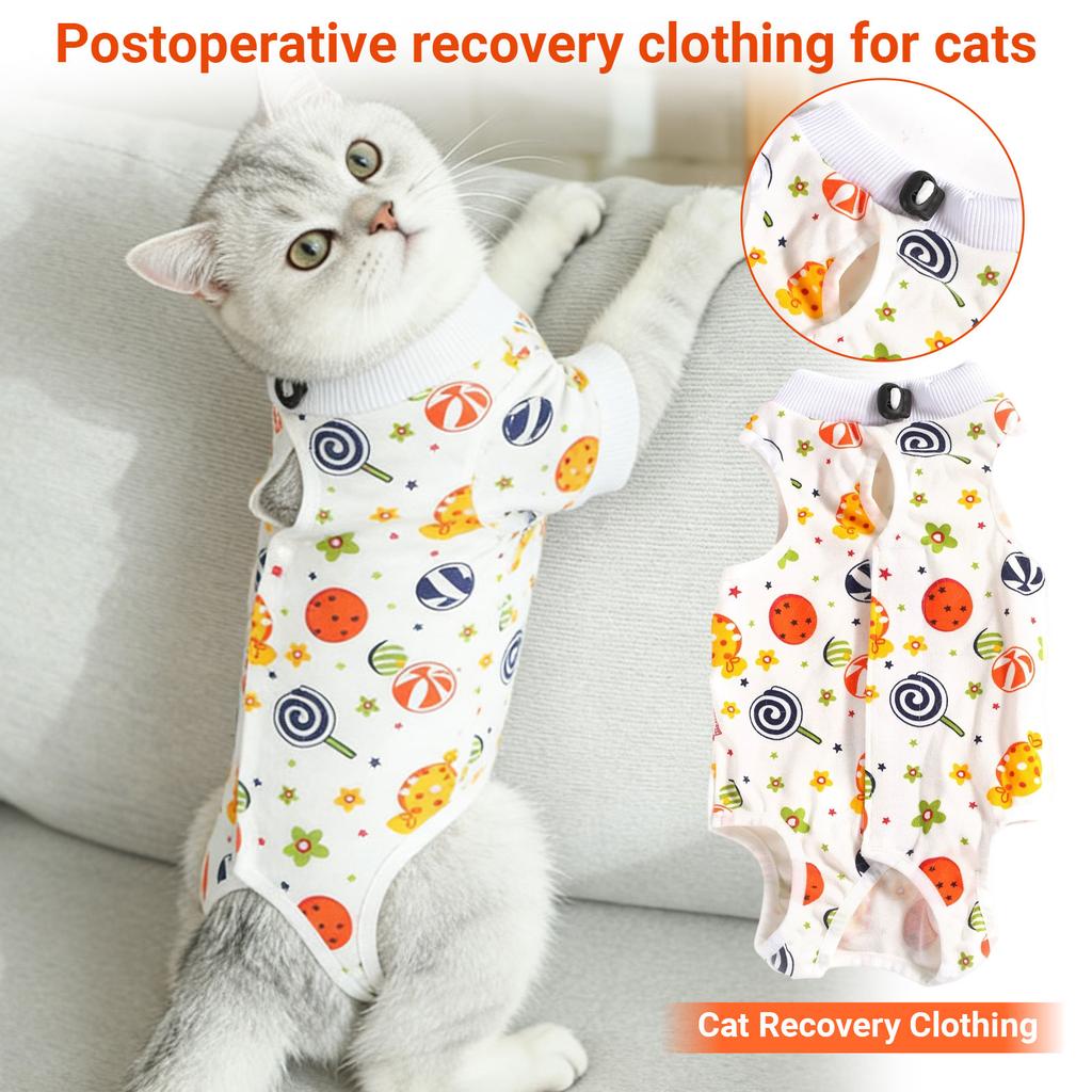 Post-operative Recovery Clothing For Cats