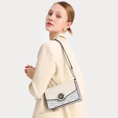 High End Niche Bag, New Autumn Fashion Shoulder Crossbody Bag, Trendy and Trendy Chain Small Square Bag