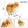 Oenux Dog Animals Model Husky German Shepherd Rottweiler Saint Bernard Action Figure Puppy Figurines PVC Collection Toy Kid Gift
