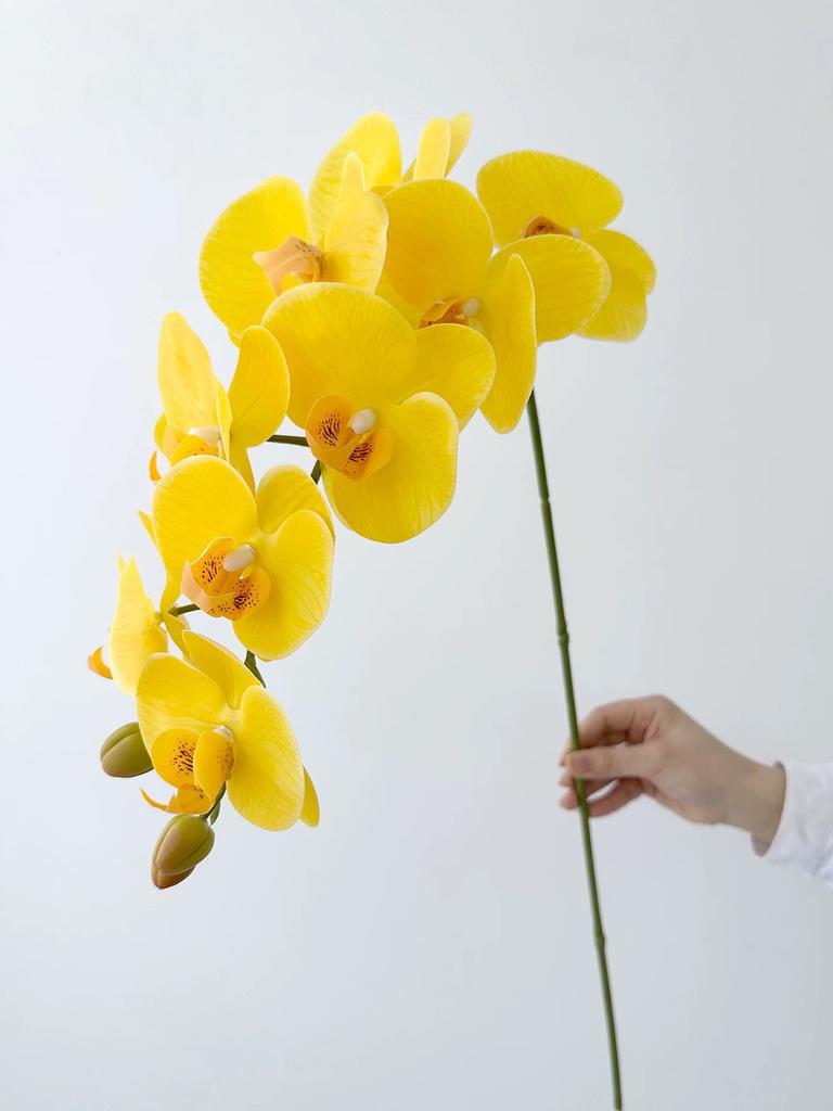 Real Touch Artificial Orchid Flowers 9 Heads White Phalaenopsis Long Stem Yellow Faux Orchids for Home Wedding Centerpiece Decor